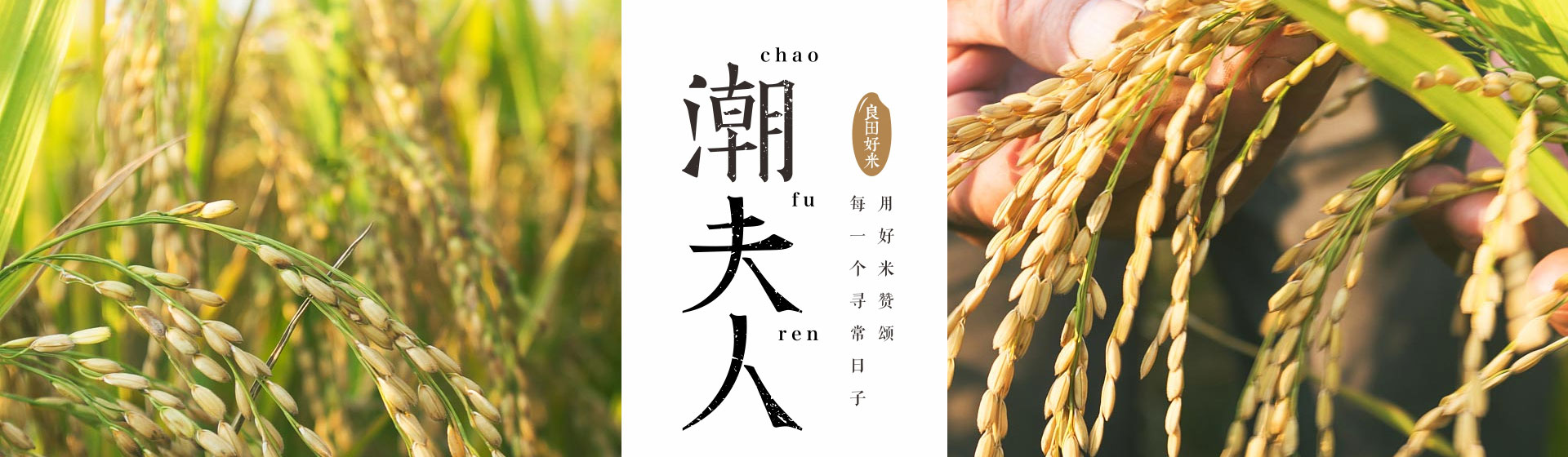 这是描述信息