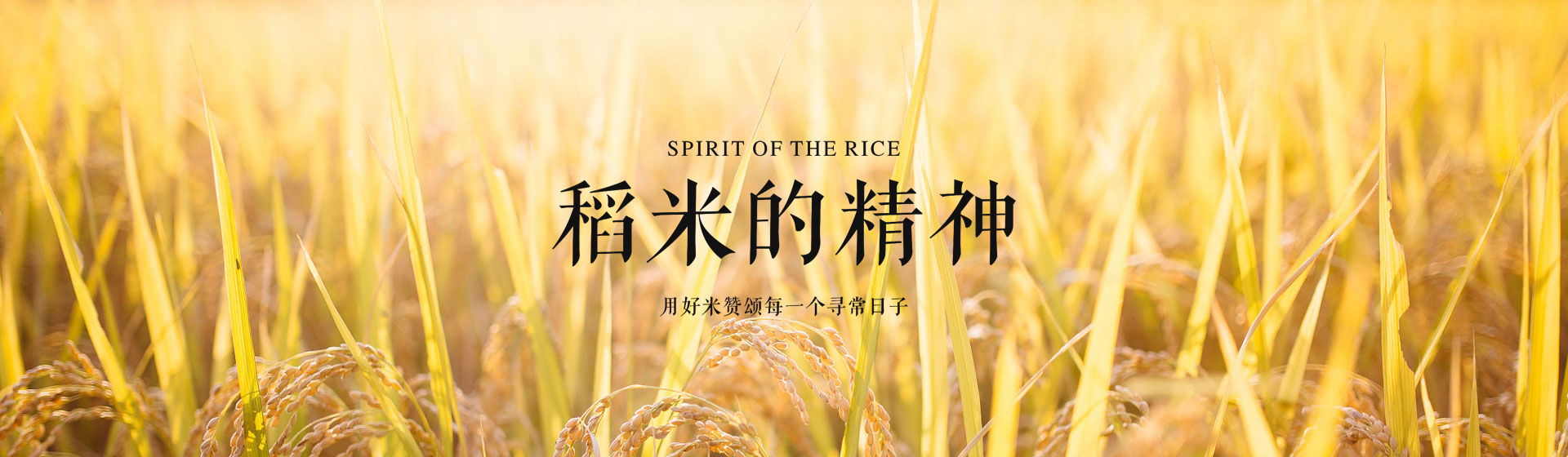 这是描述信息