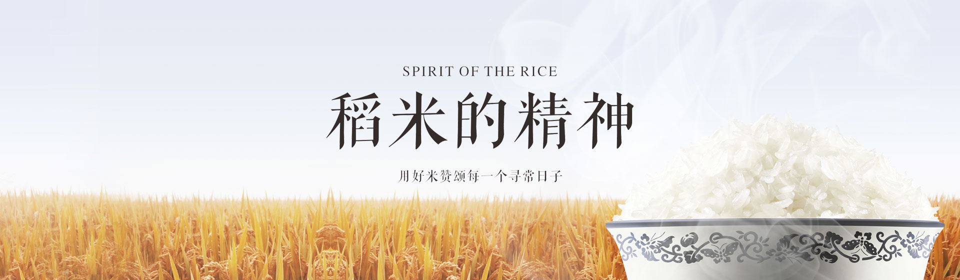 这是描述信息
